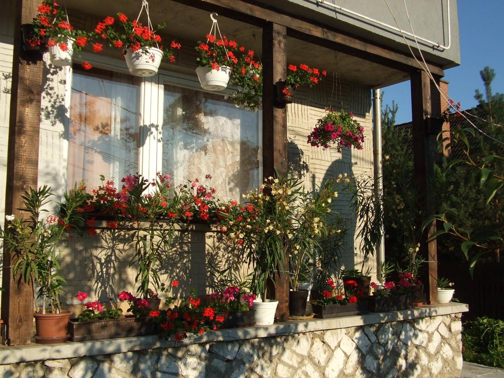 Napfeny Vendeghaz Apartment