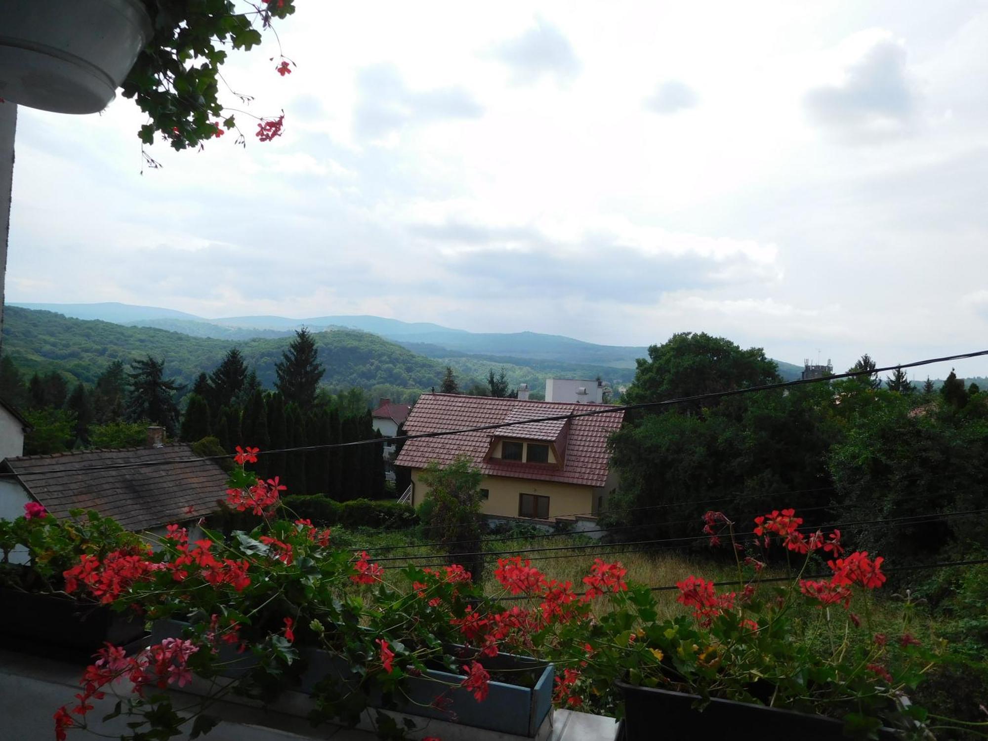 Napfeny Vendeghaz * Miskolc
